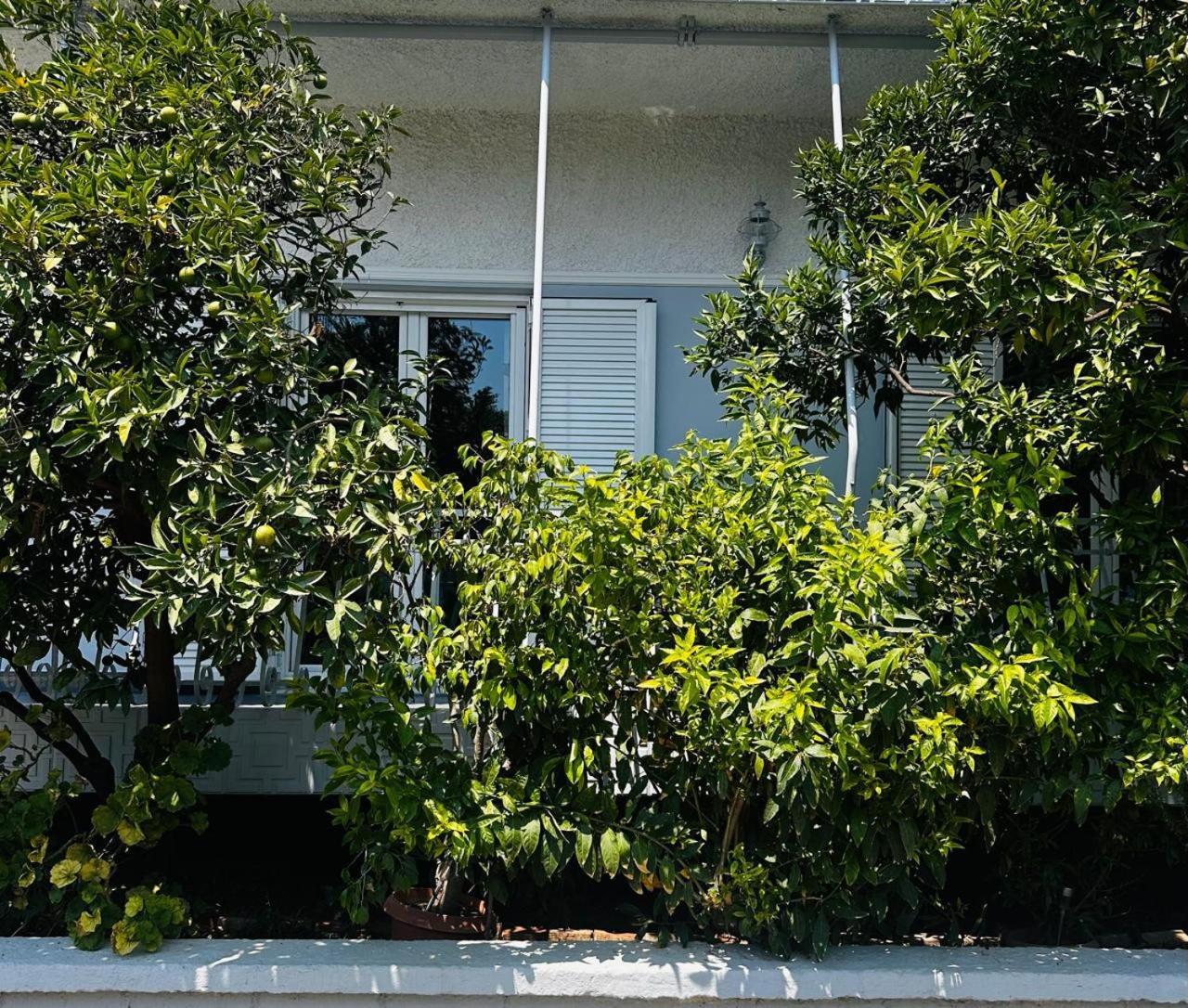 Sotiris Mandarin House Appartement Diakopto Buitenkant foto